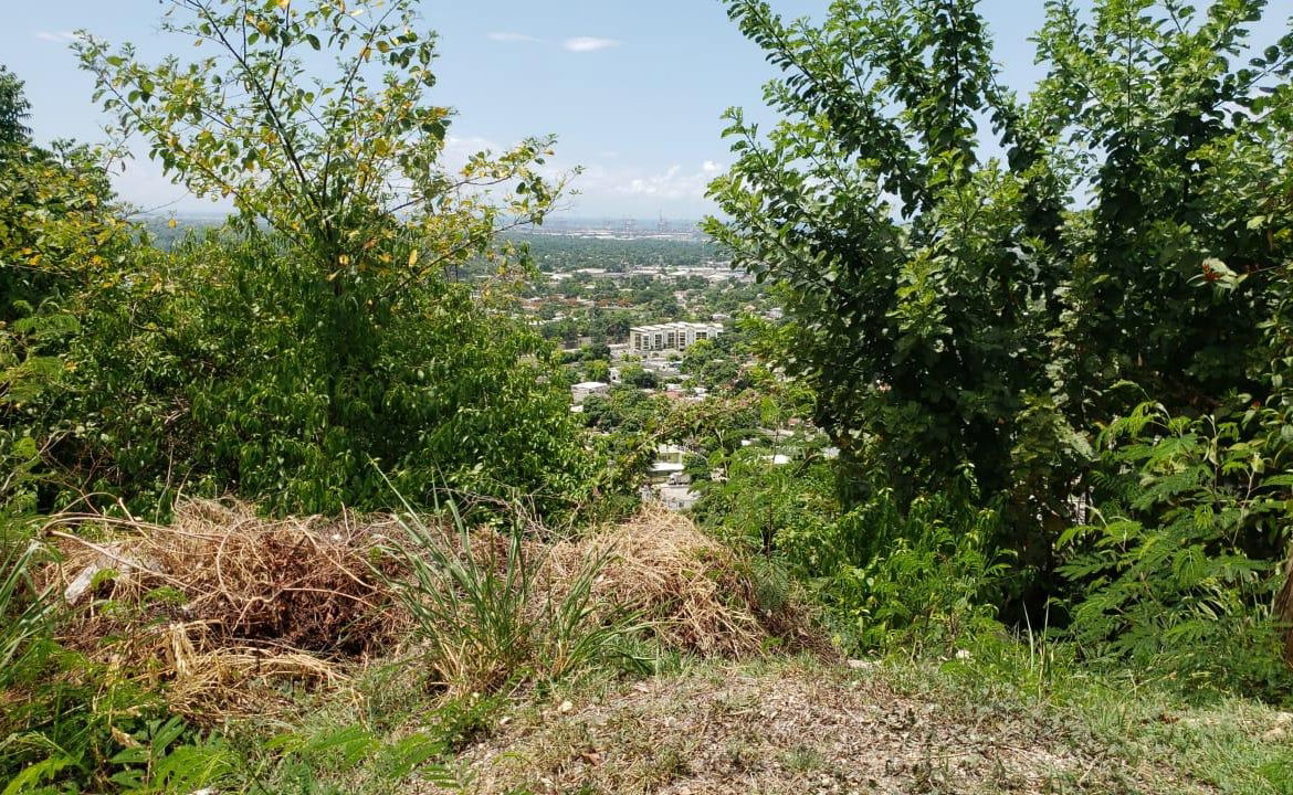 Fifth image of Lot 98 Catherine Drive in Kingston 19, St. Andrew, Jamaica - property is For Sale