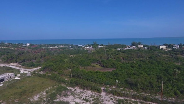 Fourth image of Lot 211- Parrottee Road in Fullerswood, St. Elizabeth, Jamaica - property is For Sale