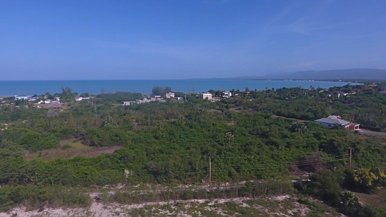 Fifth image of Lot 211- Parrottee Road in Fullerswood, St. Elizabeth, Jamaica - property is For Sale