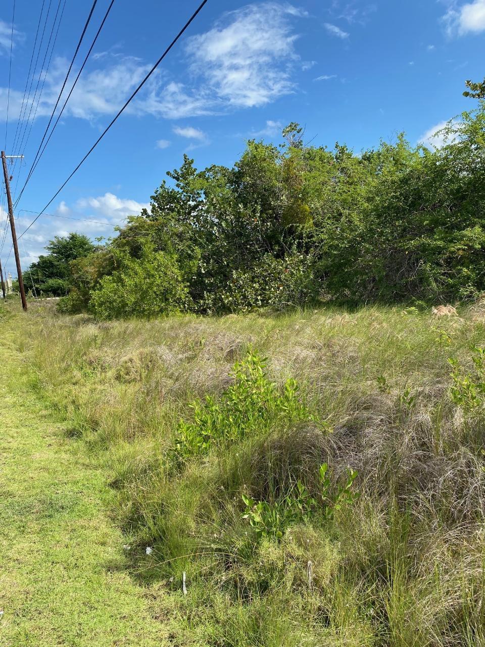 Second image of 100 Parottee Road in Black River, St. Elizabeth, Jamaica - property is For Sale