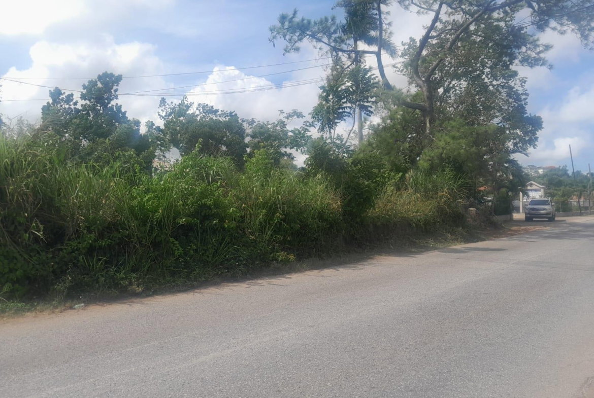 First image of 60 Caledonia Road in Mandeville, Manchester, Jamaica - property is For Sale