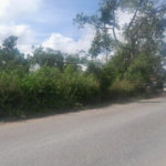 First image of 60 Caledonia Road in Mandeville, Manchester, Jamaica - property is For Sale