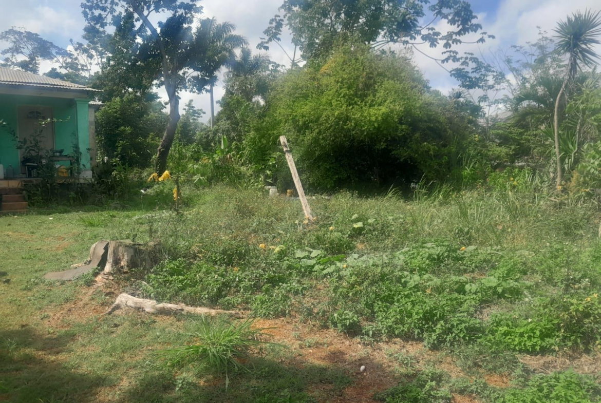 Fourth image of 60 Caledonia Road in Mandeville, Manchester, Jamaica - property is For Sale