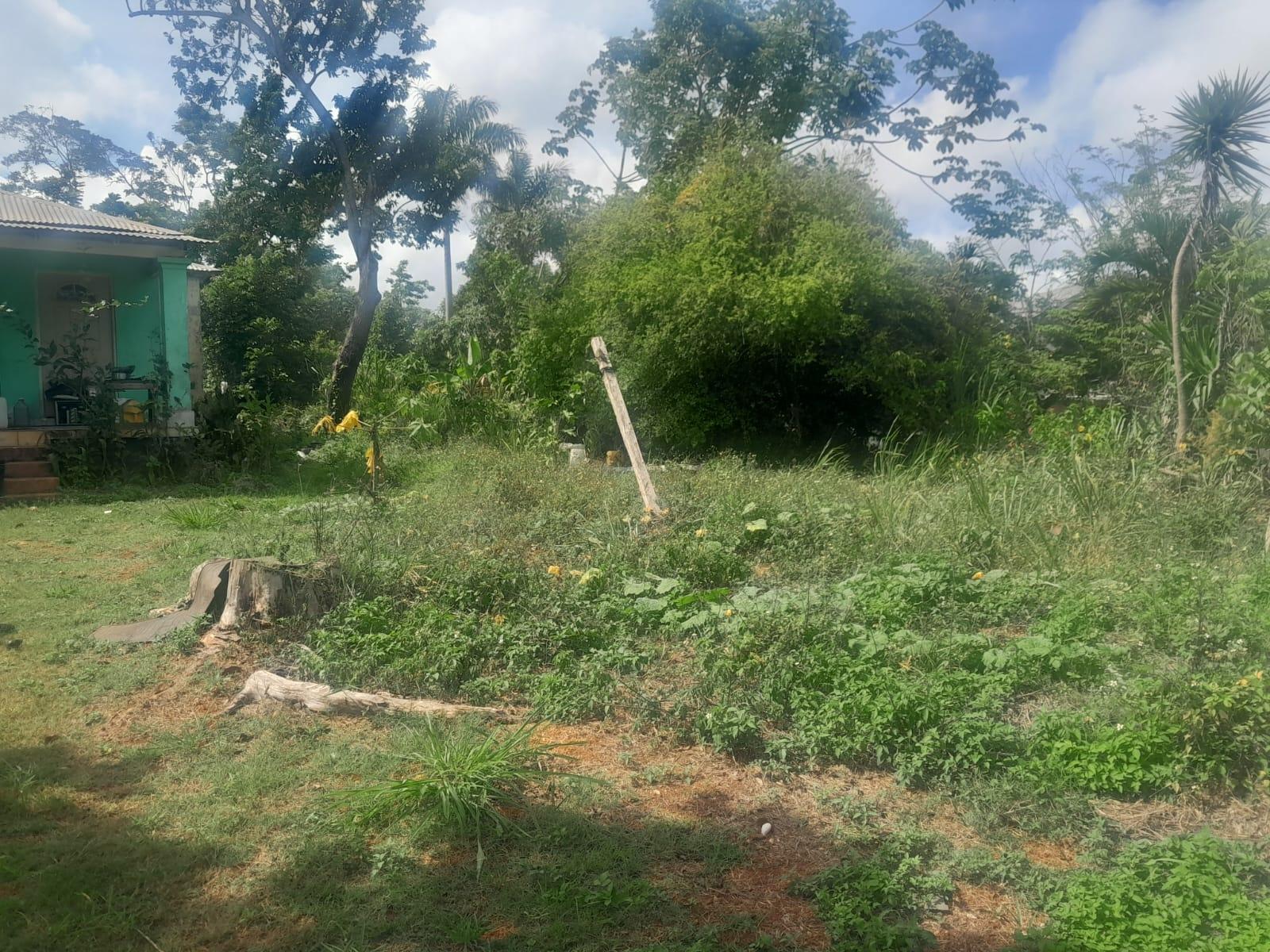 Fourth image of 60 Caledonia Road in Mandeville, Manchester, Jamaica - property is For Sale