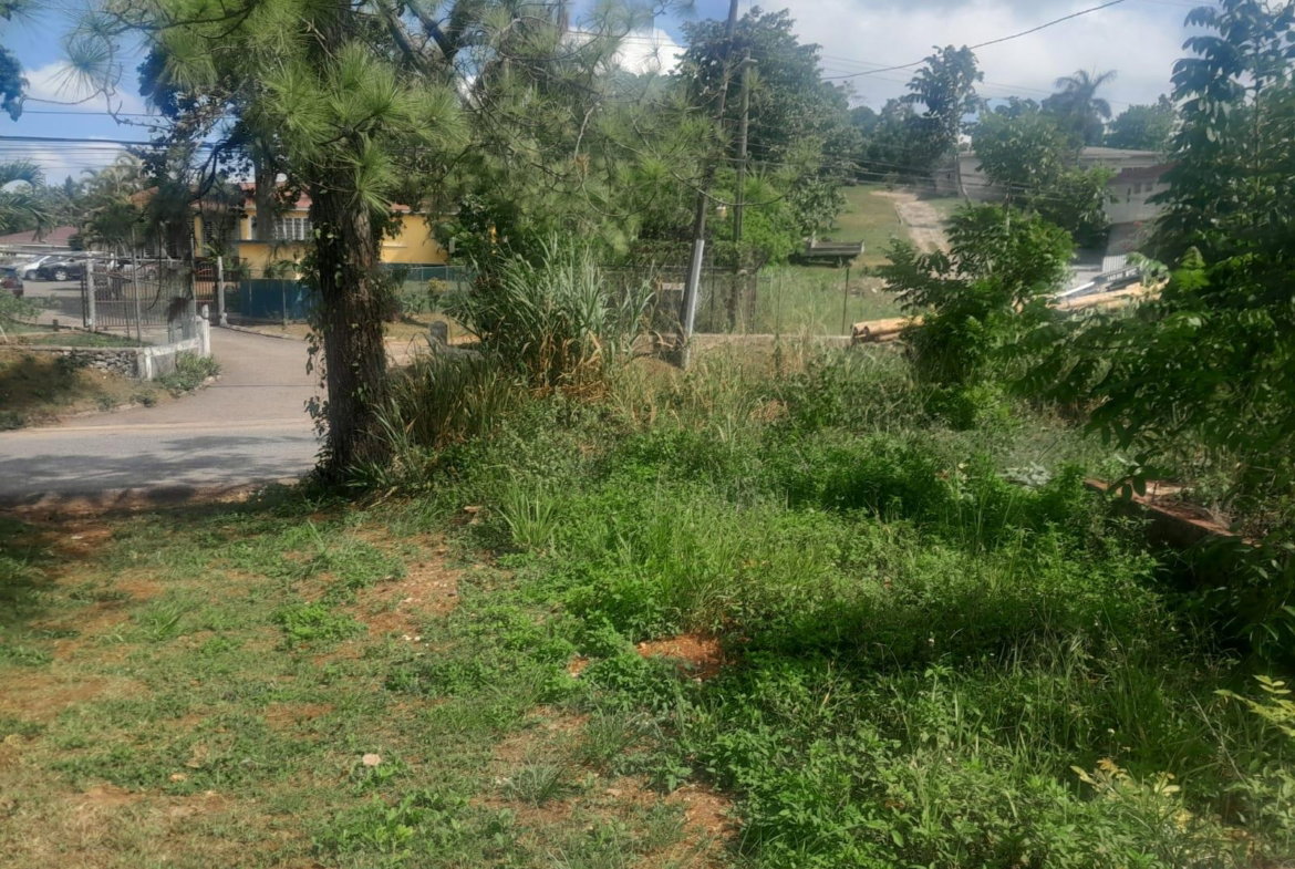 Fifth image of 60 Caledonia Road in Mandeville, Manchester, Jamaica - property is For Sale