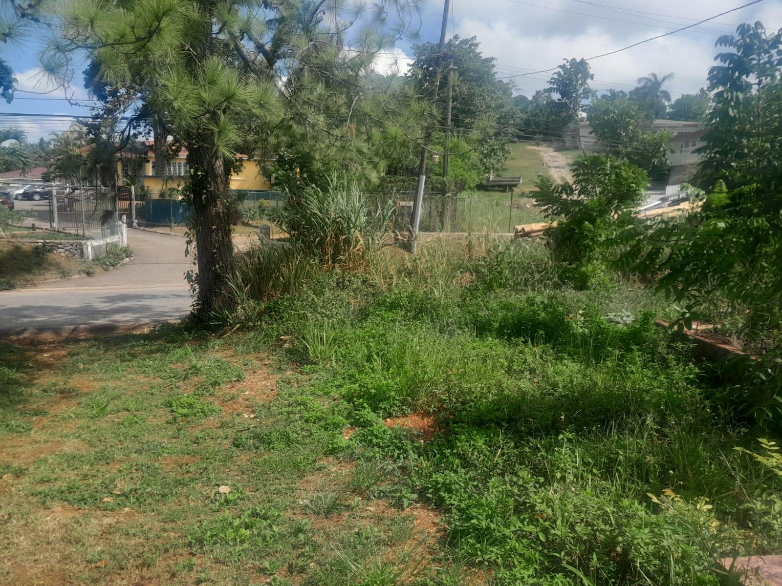Fifth image of 60 Caledonia Road in Mandeville, Manchester, Jamaica - property is For Sale