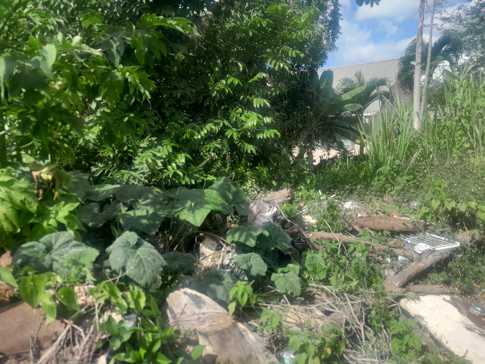 Seventh image of 60 Caledonia Road in Mandeville, Manchester, Jamaica - property is For Sale