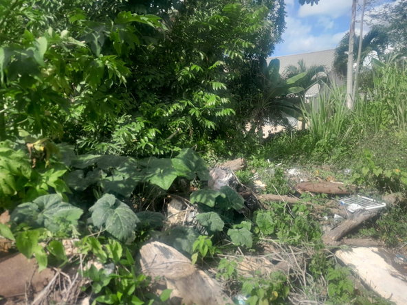 Seventh image of 60 Caledonia Road in Mandeville, Manchester, Jamaica - property is For Sale