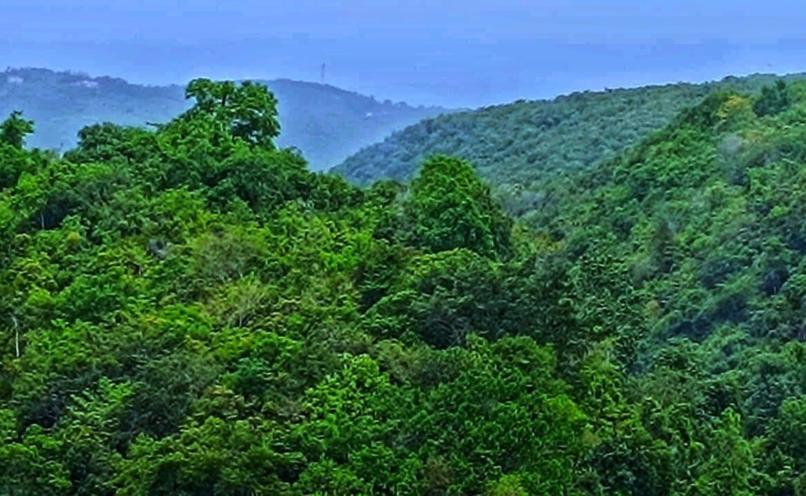 Thirteenth image of Lot 39 Heavenly Heights in Red Hills, St. Andrew, Jamaica - property is For Sale