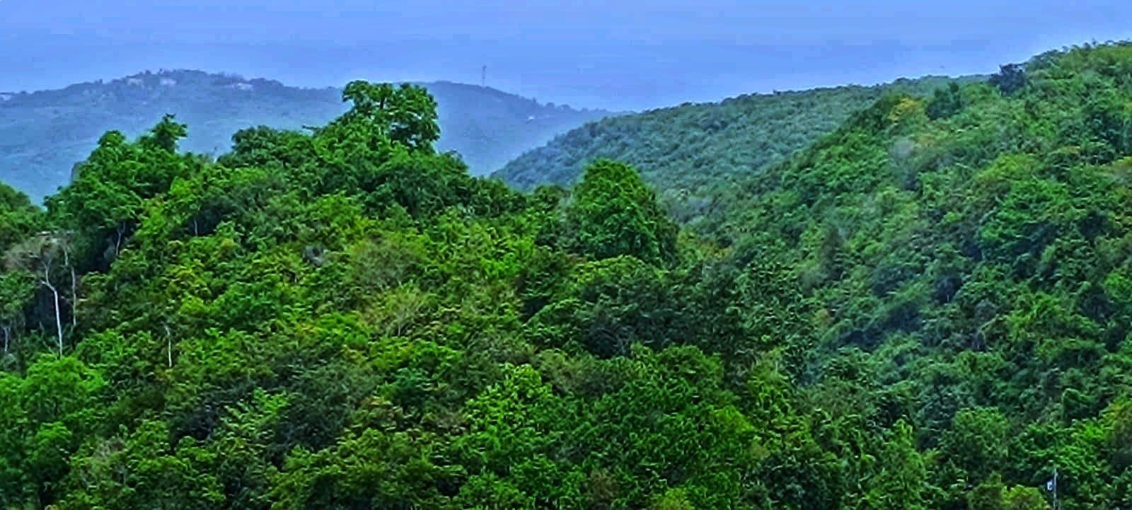 Thirteenth image of Lot 39 Heavenly Heights in Red Hills, St. Andrew, Jamaica - property is For Sale