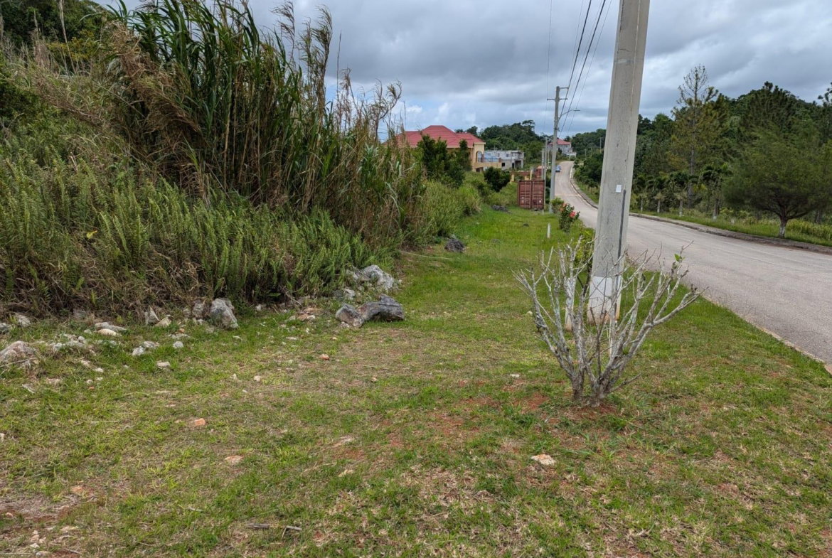 Second image of Lot 139 Moorlands Manor in Mandeville, Manchester, Jamaica - property is For Sale