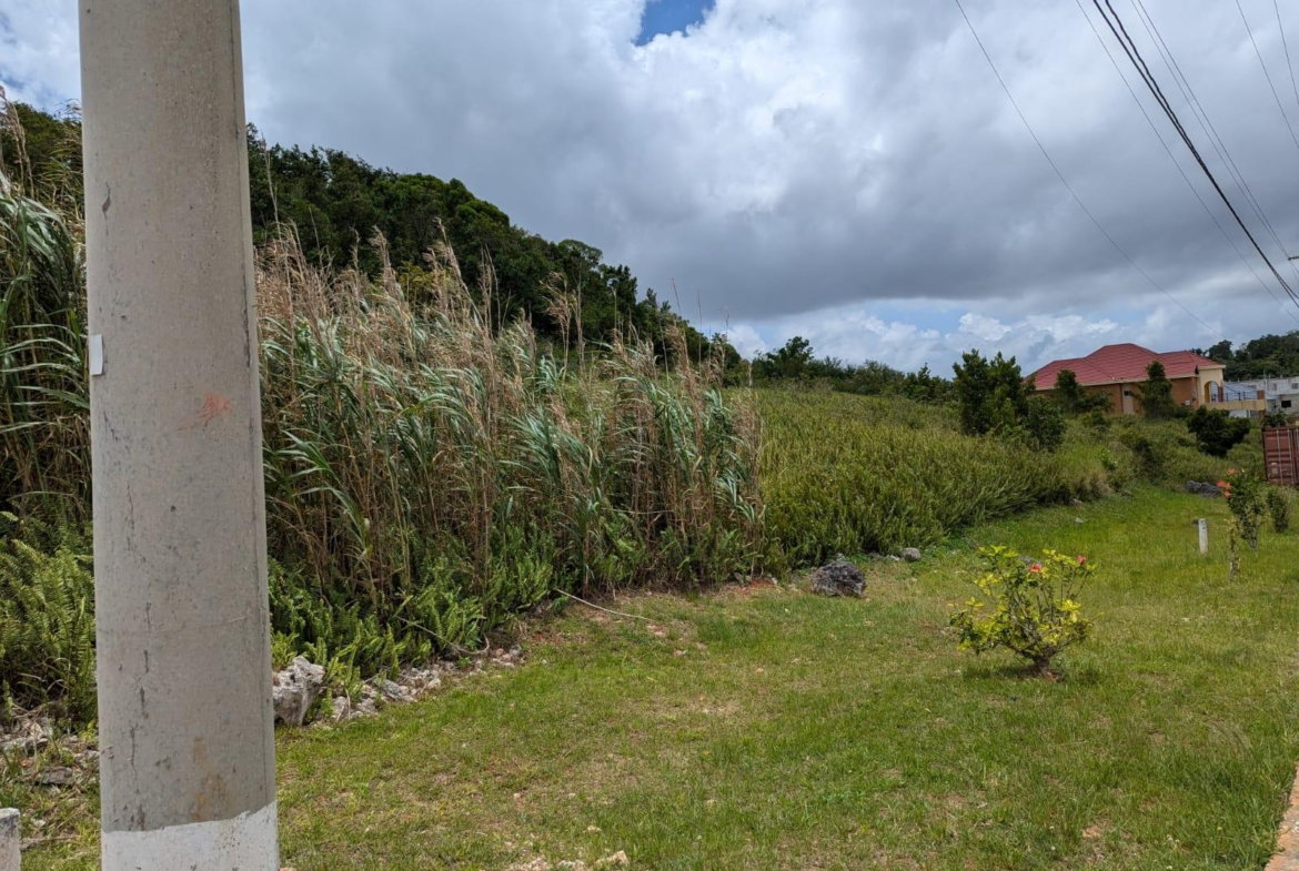 Sixth image of Lot 139 Moorlands Manor in Mandeville, Manchester, Jamaica - property is For Sale