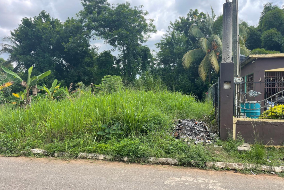 Third image of Lot 2 Orange Park Estate in Bushy Park, St. Catherine, Jamaica - property is For Sale