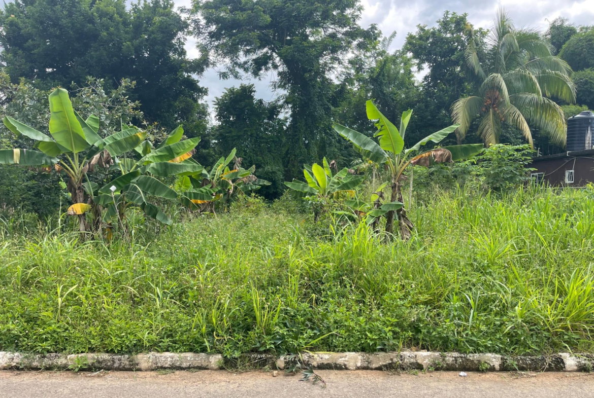 Fourth image of Lot 2 Orange Park Estate in Bushy Park, St. Catherine, Jamaica - property is For Sale