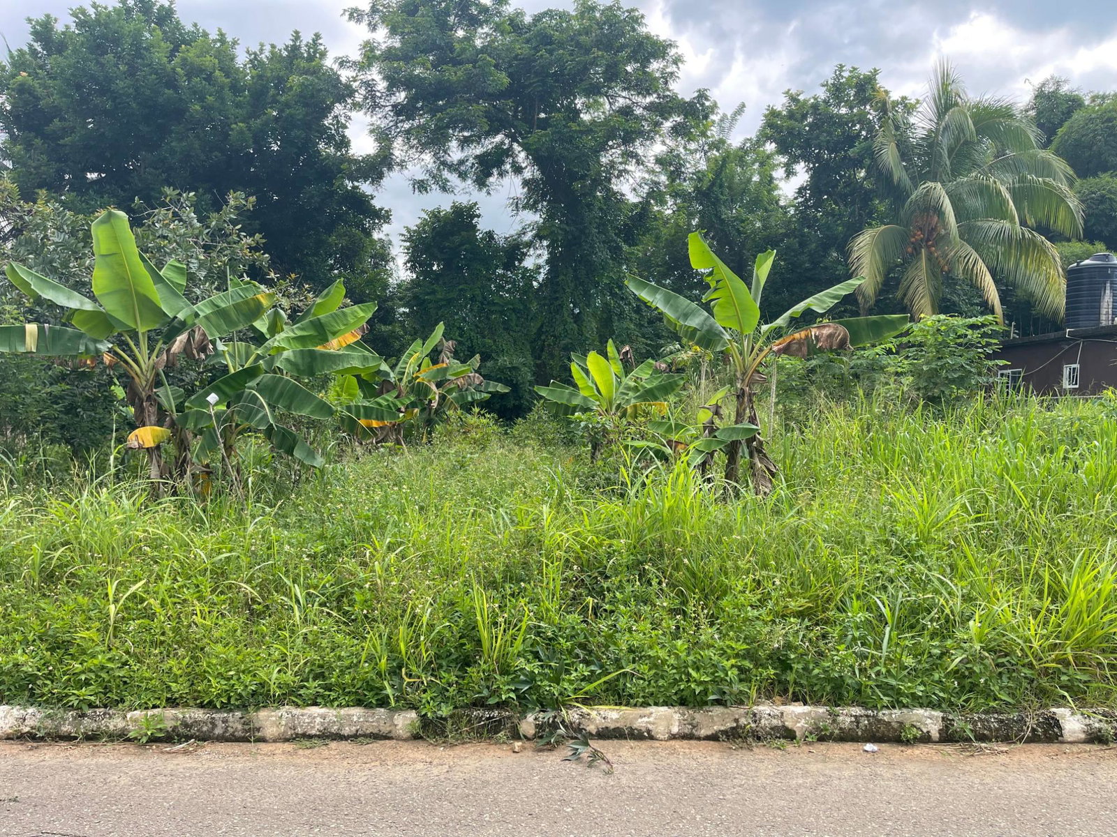 Fourth image of Lot 2 Orange Park Estate in Bushy Park, St. Catherine, Jamaica - property is For Sale