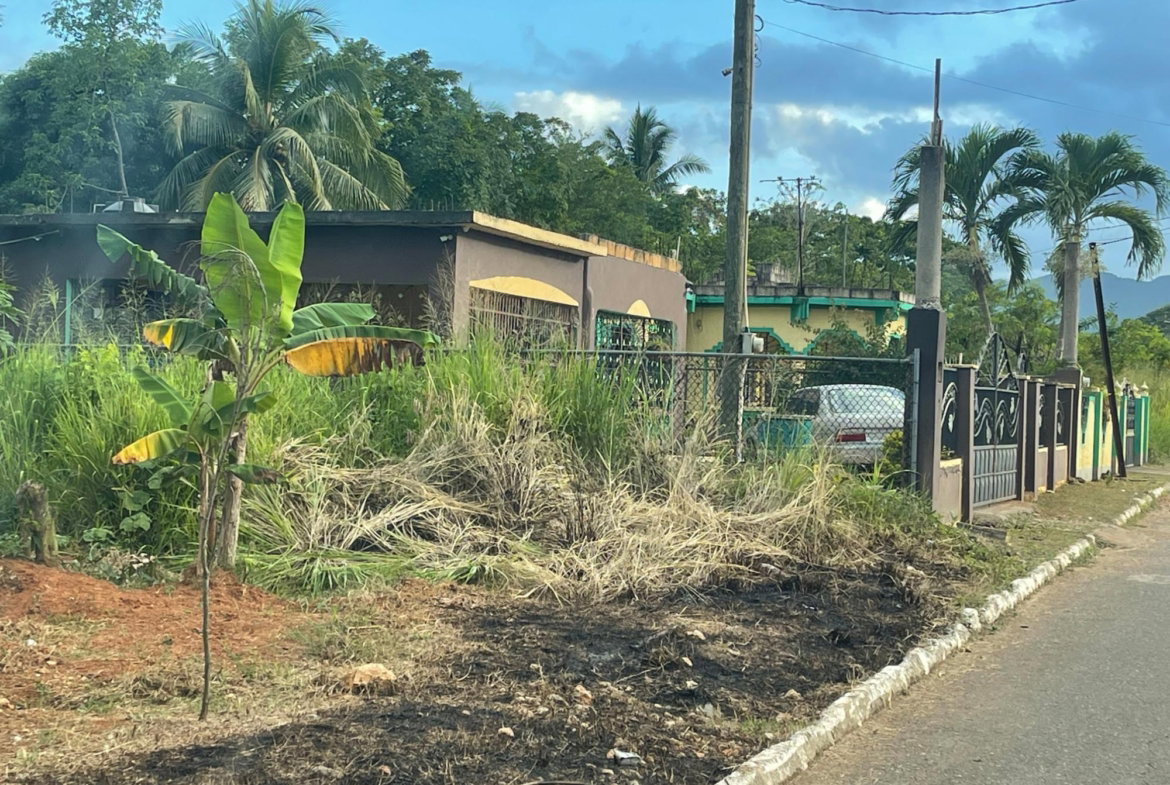 Sixth image of Lot 2 Orange Park Estate in Bushy Park, St. Catherine, Jamaica - property is For Sale