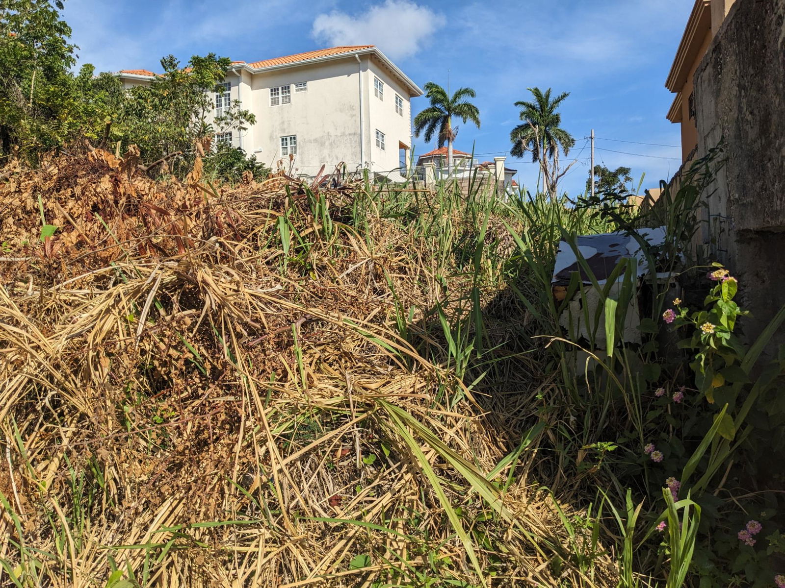 Second image of Lot 260 Milano Drive in Drax Hall Estate, St. Ann, Jamaica - property is For Sale