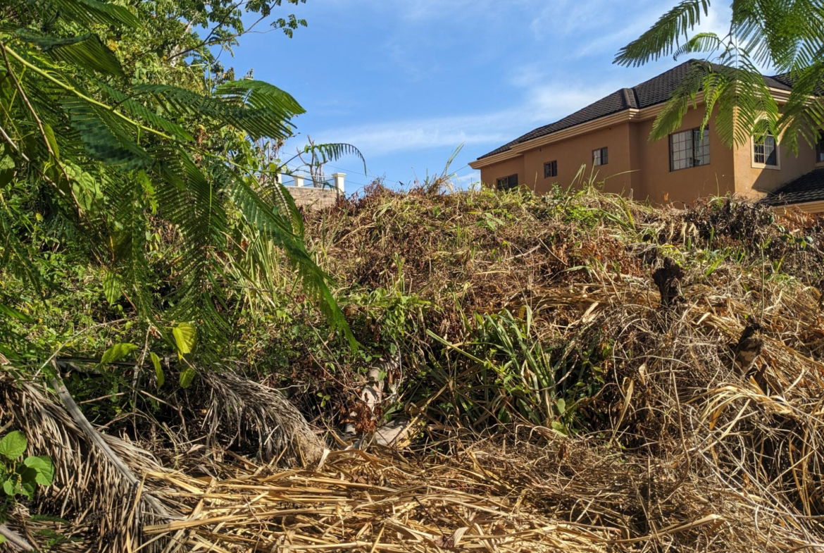 First image of Lot 260 Milano Drive in Drax Hall Estate, St. Ann, Jamaica - property is For Sale