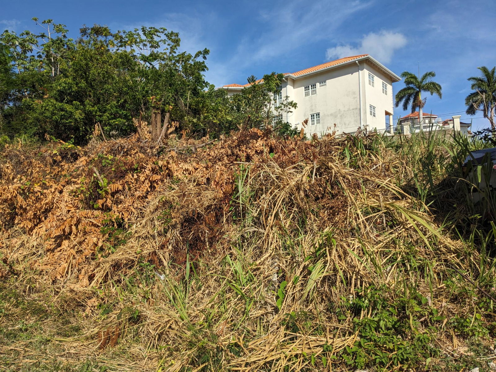 Fourth image of Lot 260 Milano Drive in Drax Hall Estate, St. Ann, Jamaica - property is For Sale