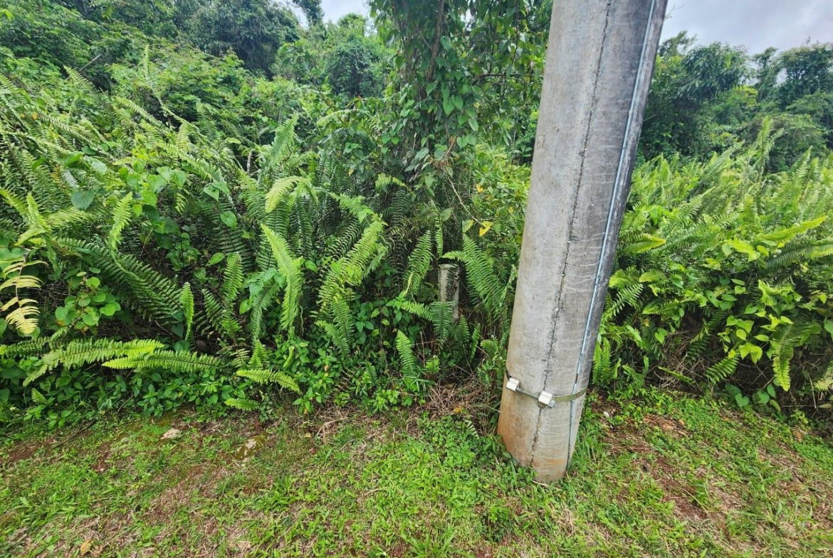 Fourth image of Lot 50 Kilmarnok Way, Moorlands in Moorlands Phase1&2, Manchester, Jamaica - property is For Sale