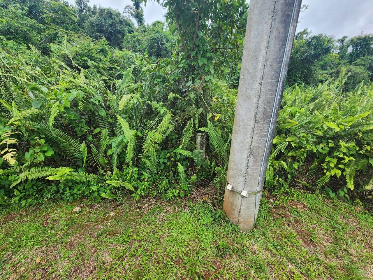 Residential-Lot-for-Sale-at-Lot-50-Kilmarnok-Way-Moorlands-Manchester-Jamaica Fourth image of Lot 50 Kilmarnok Way, Moorlands in Moorlands Phase1&2, Manchester, Jamaica - property is For Sale