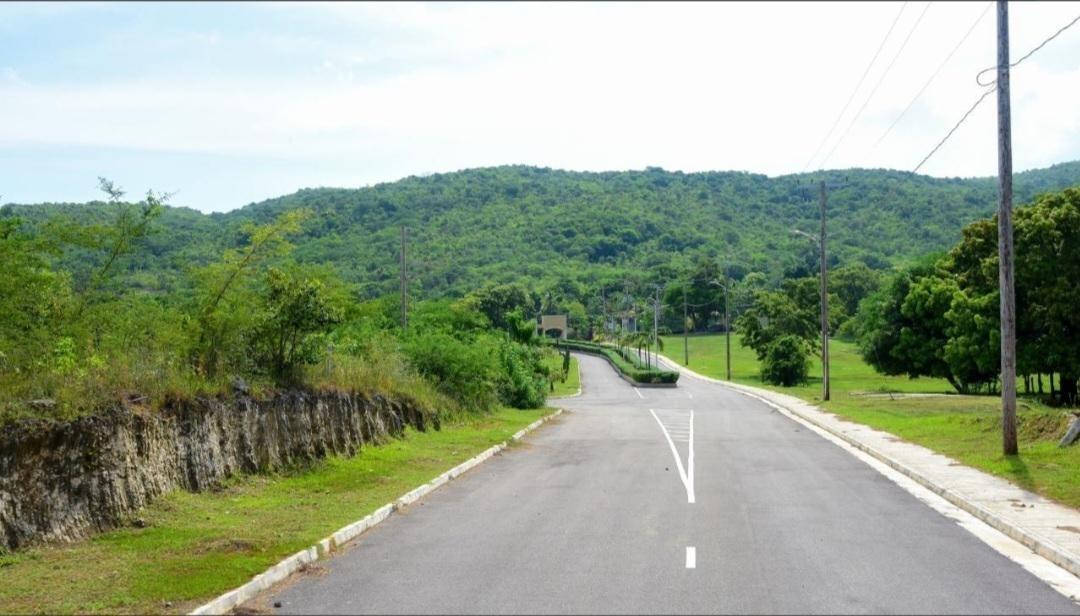Fourth image of Lot 65- Palmbrook Estate Lacovia in Lacovia, St. Elizabeth, Jamaica - property is For Sale
