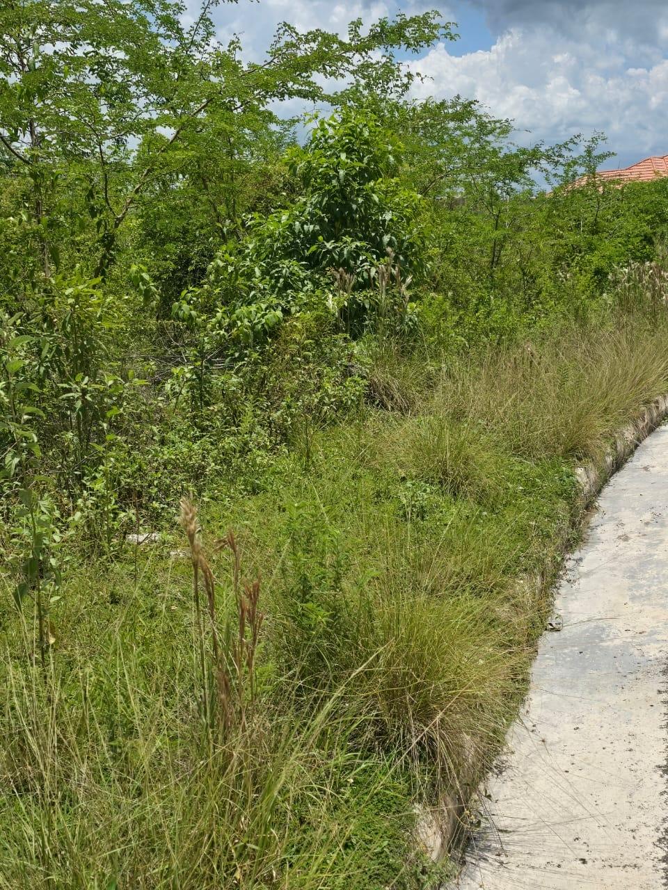 Sixth image of Lot 65- Palmbrook Estate Lacovia in Lacovia, St. Elizabeth, Jamaica - property is For Sale