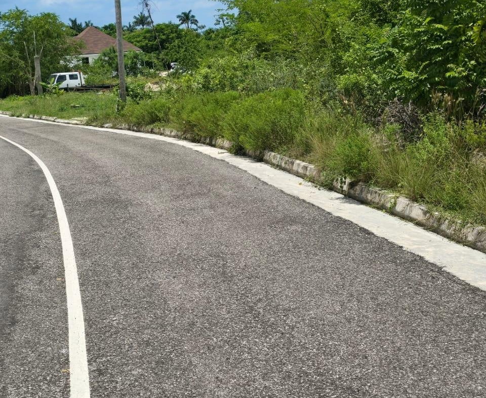 Eighth image of Lot 65- Palmbrook Estate Lacovia in Lacovia, St. Elizabeth, Jamaica - property is For Sale