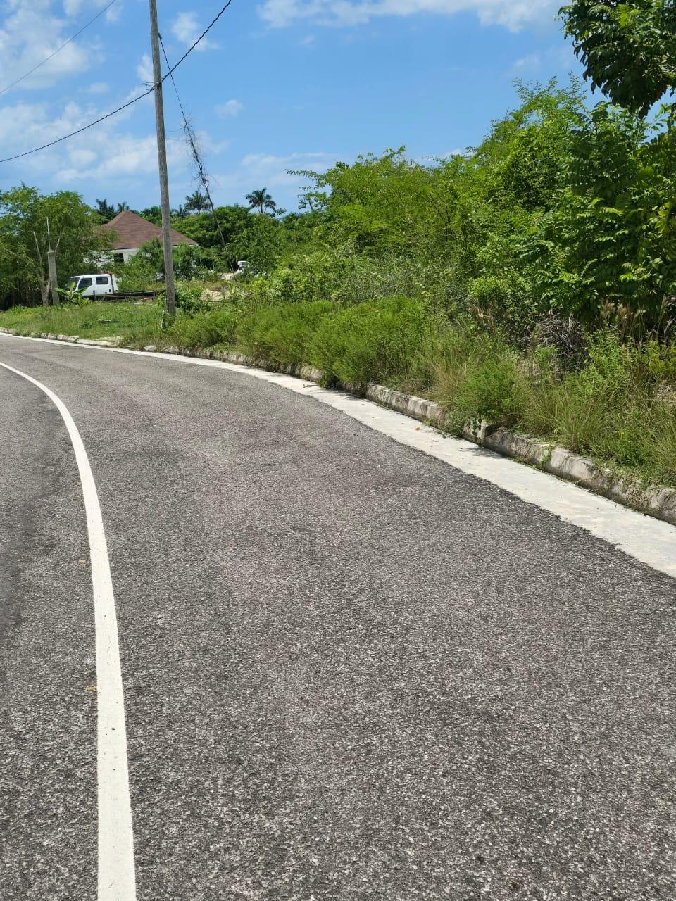 Eighth image of Lot 65- Palmbrook Estate Lacovia in Lacovia, St. Elizabeth, Jamaica - property is For Sale
