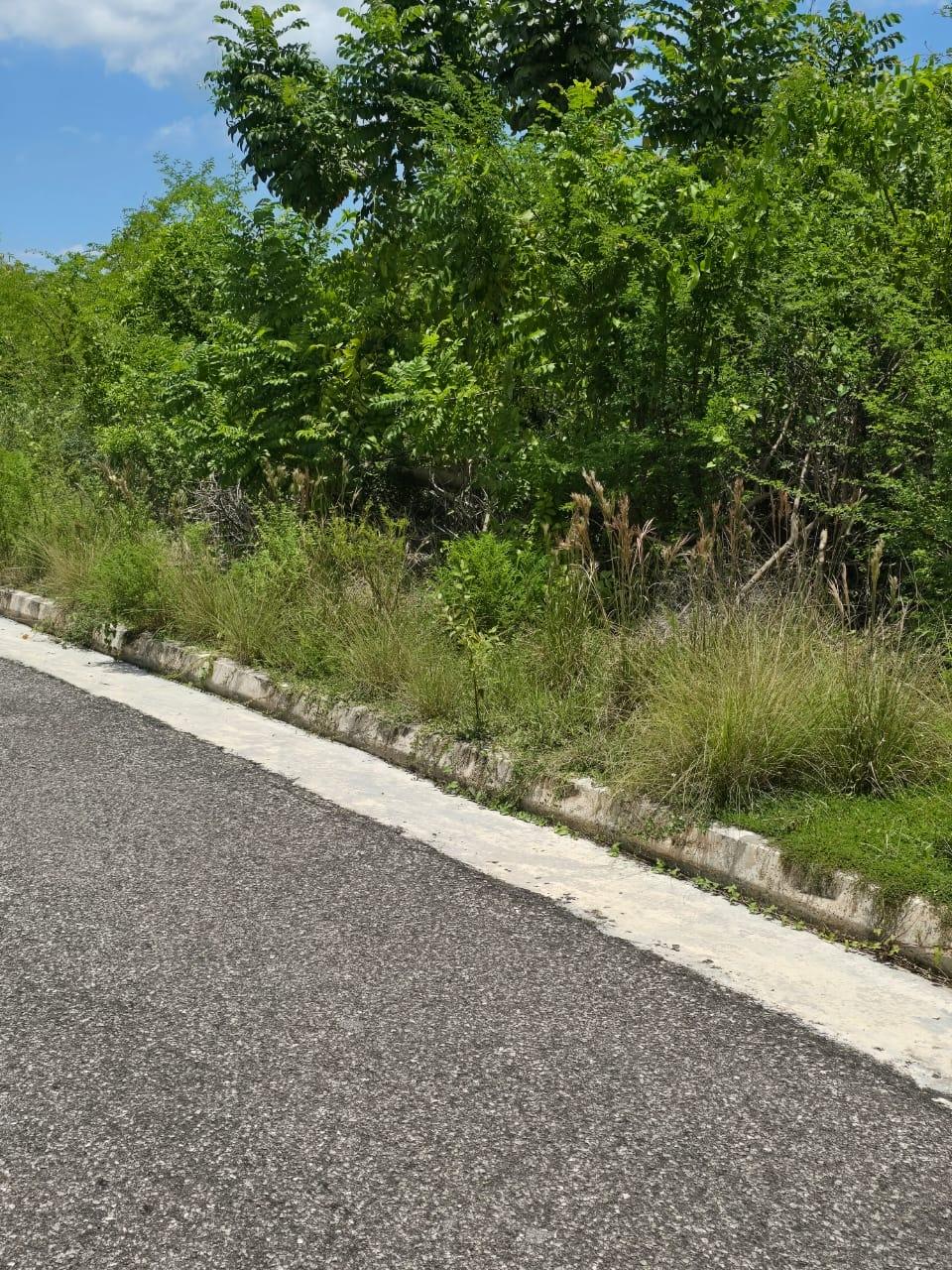 Ninth image of Lot 65- Palmbrook Estate Lacovia in Lacovia, St. Elizabeth, Jamaica - property is For Sale