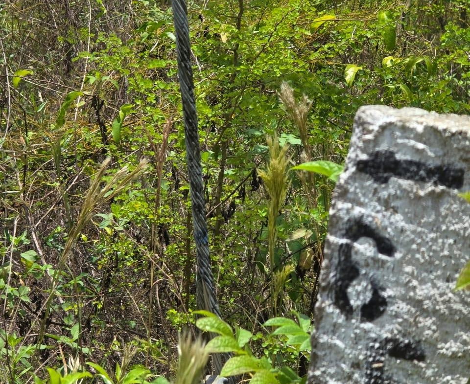 Tenth image of Lot 65- Palmbrook Estate Lacovia in Lacovia, St. Elizabeth, Jamaica - property is For Sale