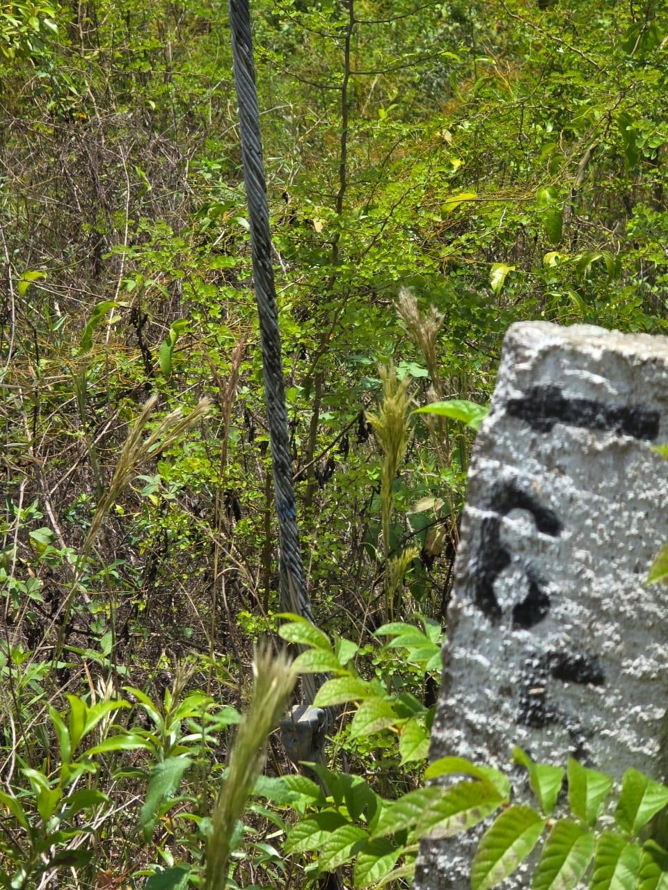 Tenth image of Lot 65- Palmbrook Estate Lacovia in Lacovia, St. Elizabeth, Jamaica - property is For Sale
