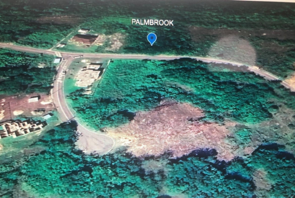 Thirteenth image of Lot 65- Palmbrook Estate Lacovia in Lacovia, St. Elizabeth, Jamaica - property is For Sale