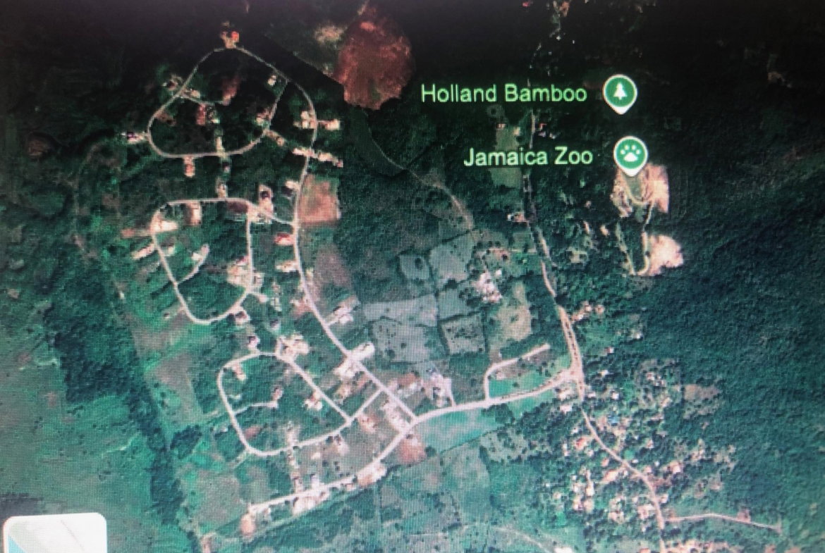 Fourteenth image of Lot 65- Palmbrook Estate Lacovia in Lacovia, St. Elizabeth, Jamaica - property is For Sale