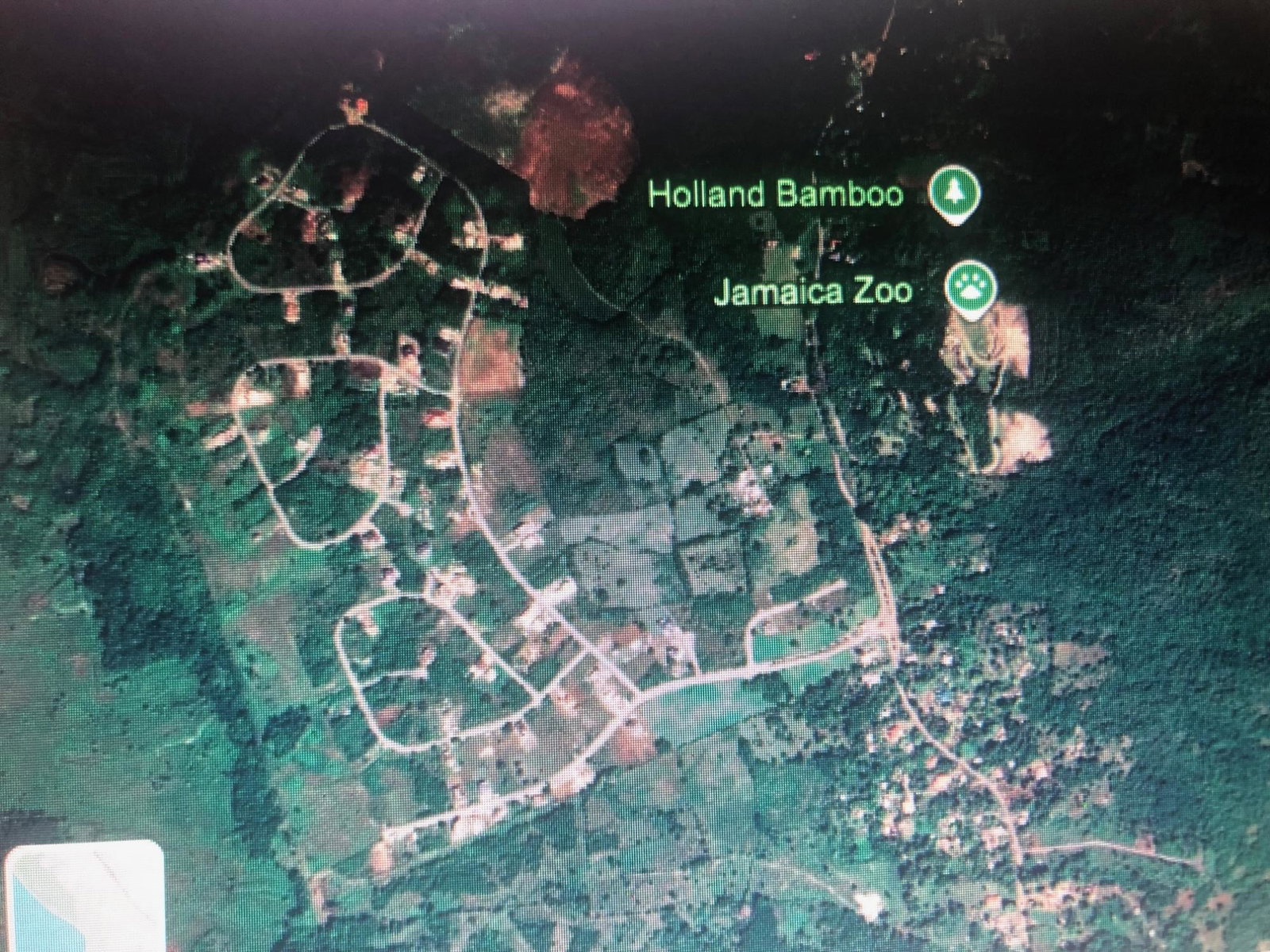 Fourteenth image of Lot 65- Palmbrook Estate Lacovia in Lacovia, St. Elizabeth, Jamaica - property is For Sale
