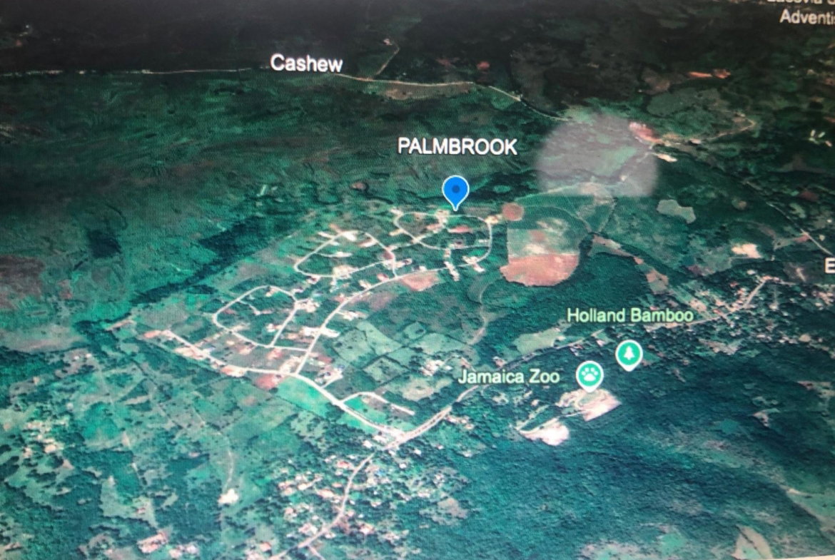 Fifteenth image of Lot 65- Palmbrook Estate Lacovia in Lacovia, St. Elizabeth, Jamaica - property is For Sale