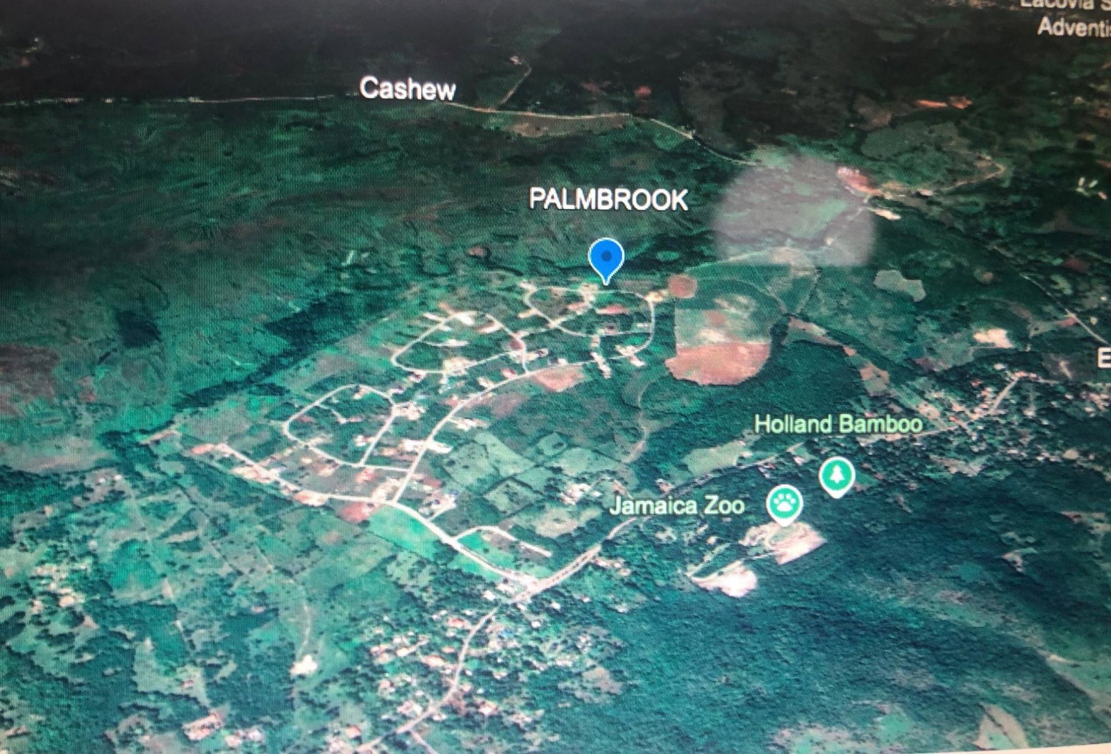 Fifteenth image of Lot 65- Palmbrook Estate Lacovia in Lacovia, St. Elizabeth, Jamaica - property is For Sale