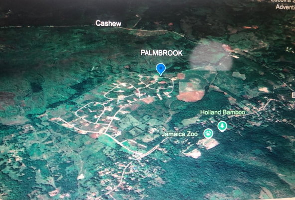 Fifteenth image of Lot 65- Palmbrook Estate Lacovia in Lacovia, St. Elizabeth, Jamaica - property is For Sale