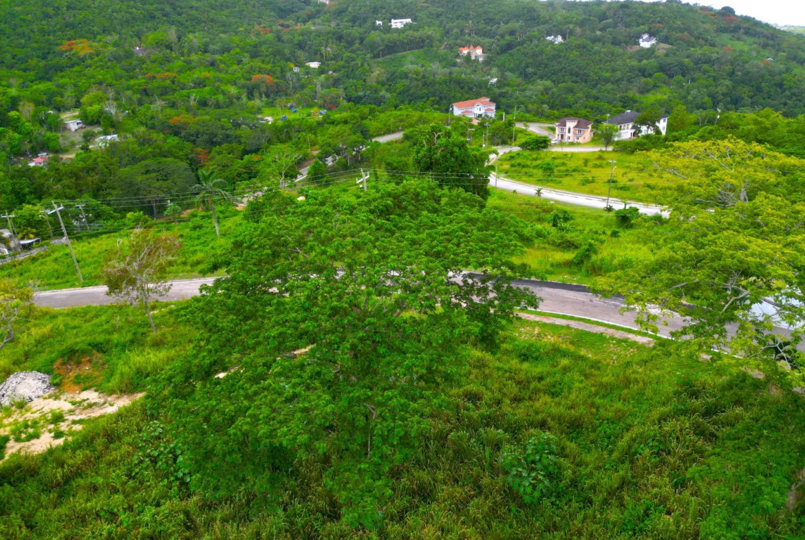 Tenth image of 59 Reading Heights in Reading, St. James, Jamaica - property is For Sale