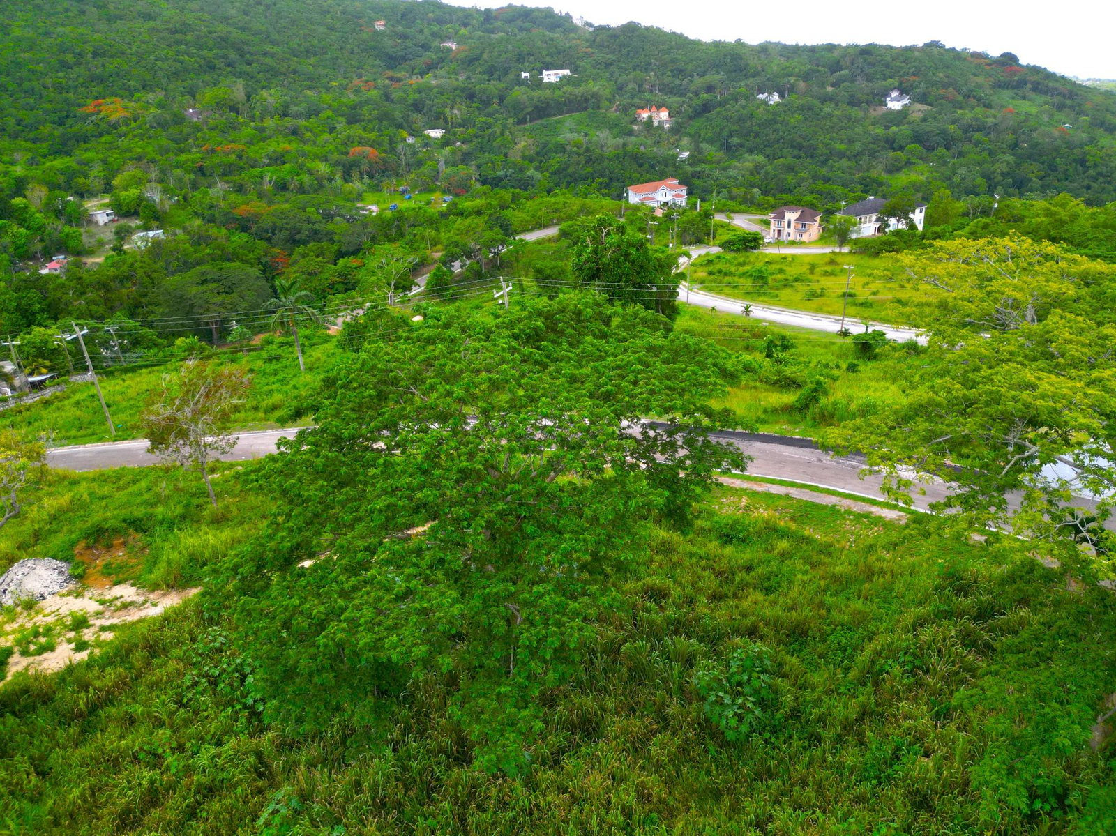 Residential-Lot-for-Sale-at-Reading-Heights-St.-James-Jamaica Tenth image of 59 Reading Heights in Reading, St. James, Jamaica - property is For Sale