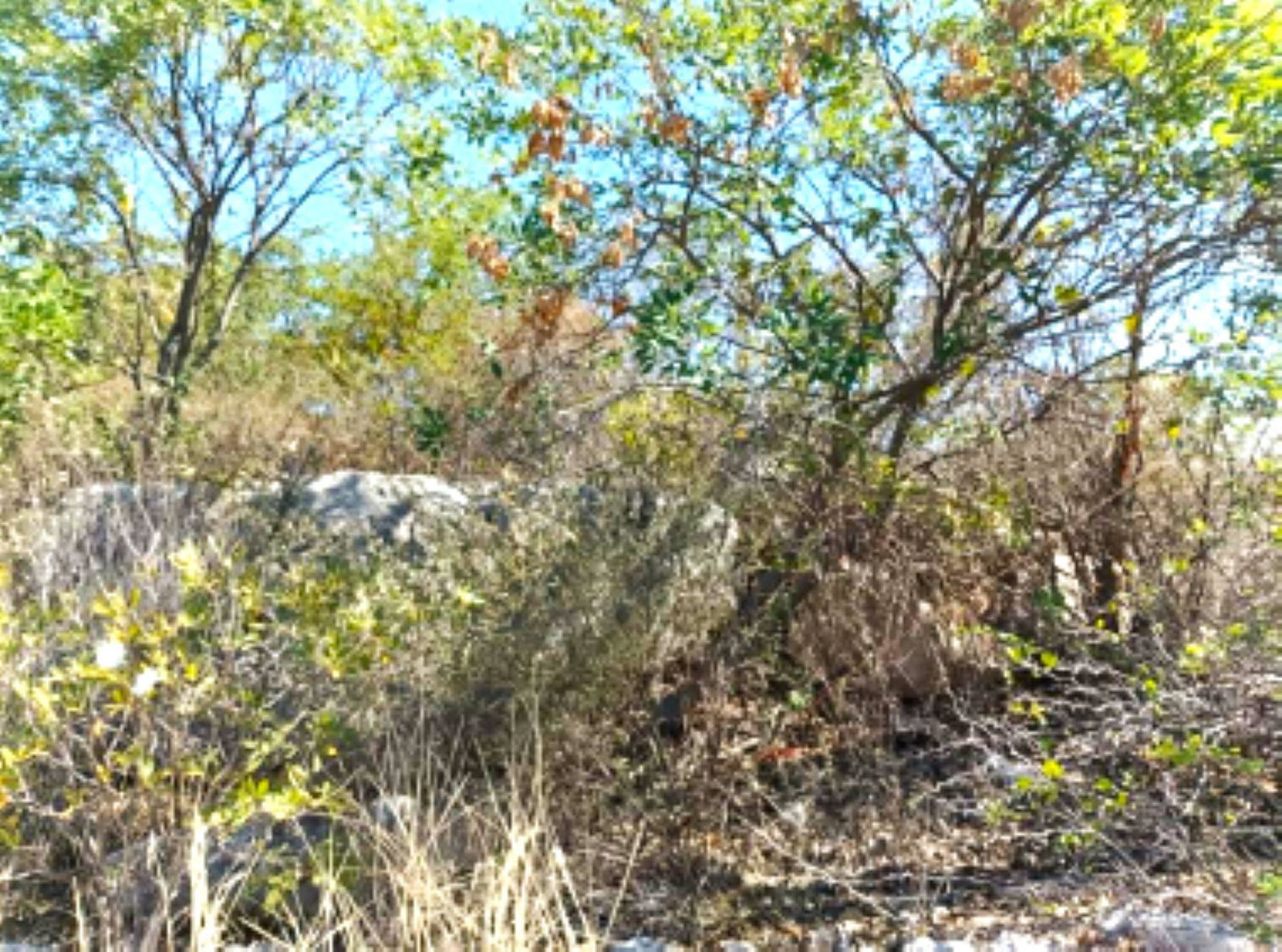 Fourth image of 94 Sandhill Vista in Greater Portmore, St. Catherine, Jamaica - property is For Sale