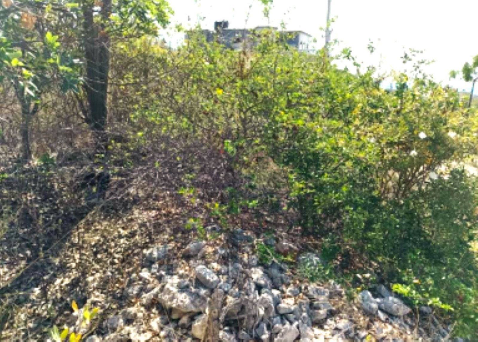 Sixth image of 94 Sandhill Vista in Greater Portmore, St. Catherine, Jamaica - property is For Sale