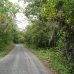 First image of Part of Bellevue in Carron Hall, St. Mary, Jamaica - property is For Sale