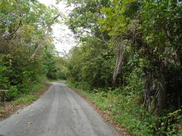 First image of Part of Bellevue in Carron Hall, St. Mary, Jamaica - property is For Sale
