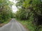 First image of Part of Bellevue in Carron Hall, St. Mary, Jamaica - property is For Sale
