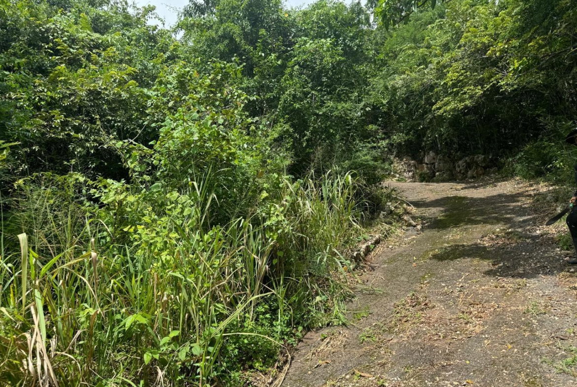 Second image of 98b Cyprus Drive, Belvedere, in Red Hills, St. Andrew, Jamaica - property is For Sale