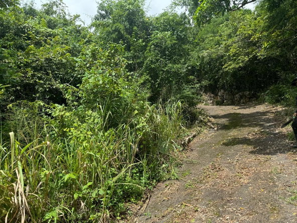 Second image of 98b Cyprus Drive, Belvedere, in Red Hills, St. Andrew, Jamaica - property is For Sale
