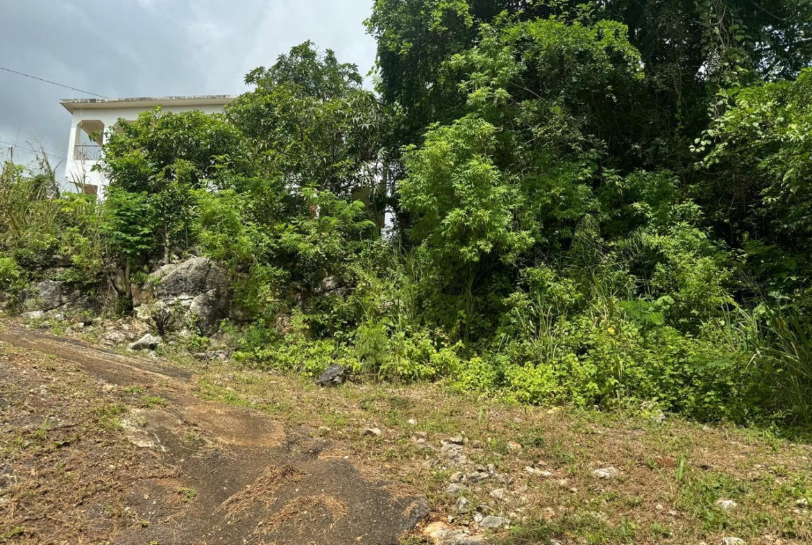 Twelfth image of 98b Cyprus Drive, Belvedere, in Red Hills, St. Andrew, Jamaica - property is For Sale