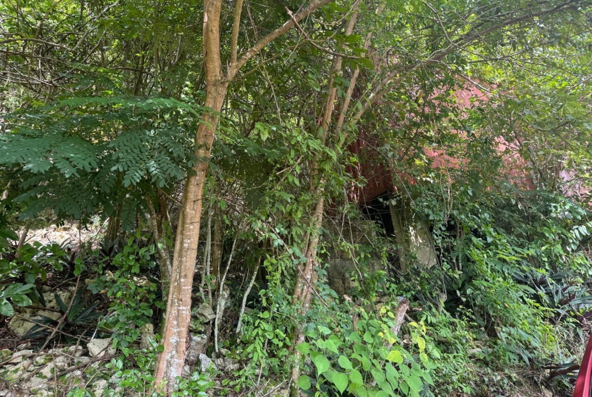 Third image of 98b Cyprus Drive, Belvedere, in Red Hills, St. Andrew, Jamaica - property is For Sale