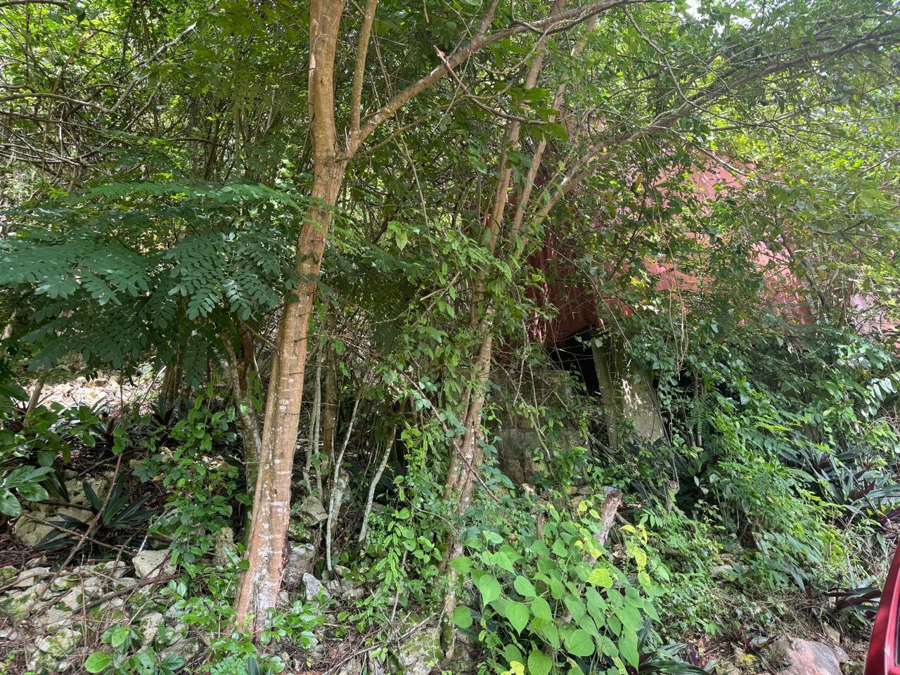 Third image of 98b Cyprus Drive, Belvedere, in Red Hills, St. Andrew, Jamaica - property is For Sale